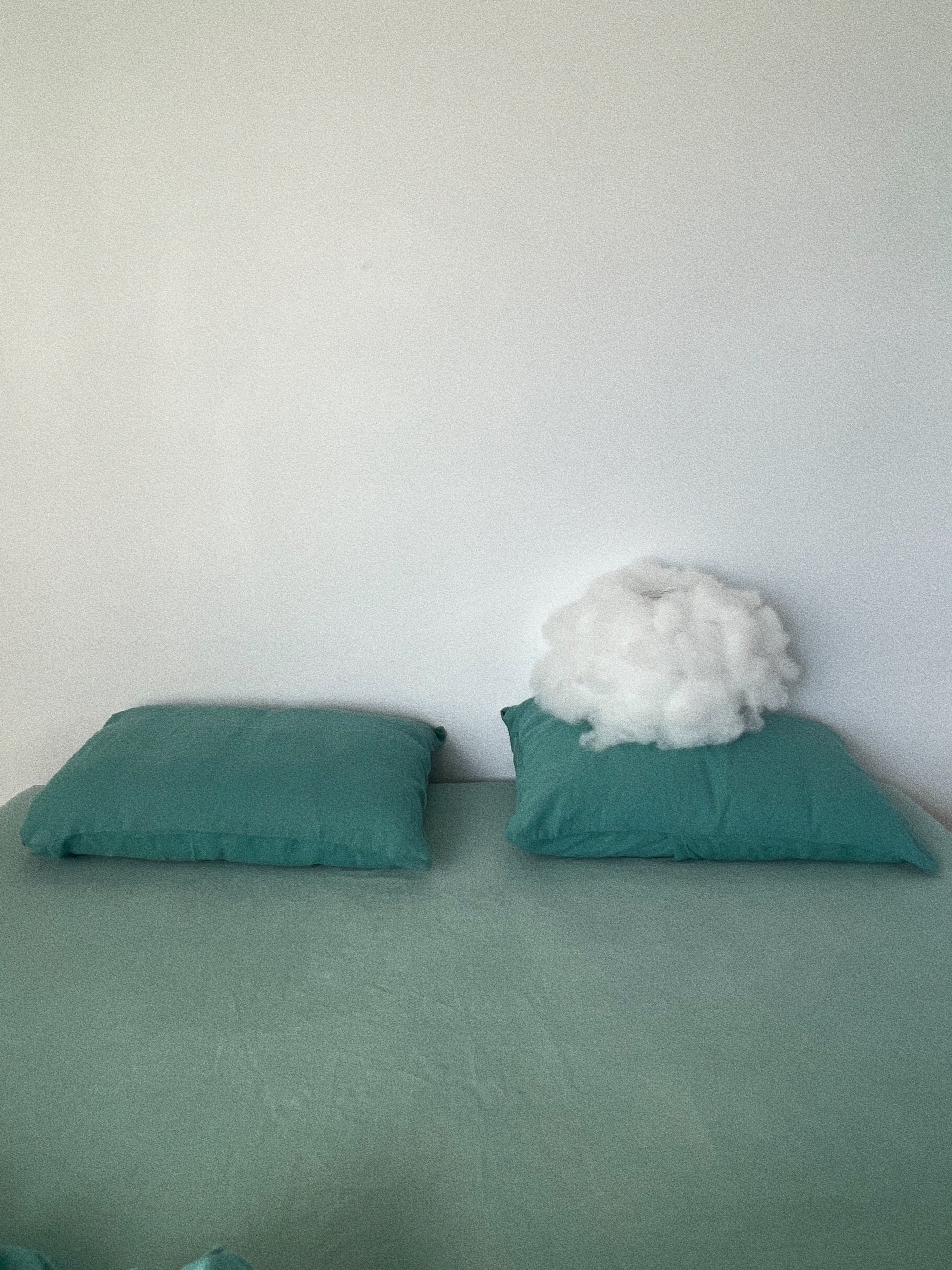 Pure Linen Pillowslips. Hand Dyed. Dazed but Amazed.