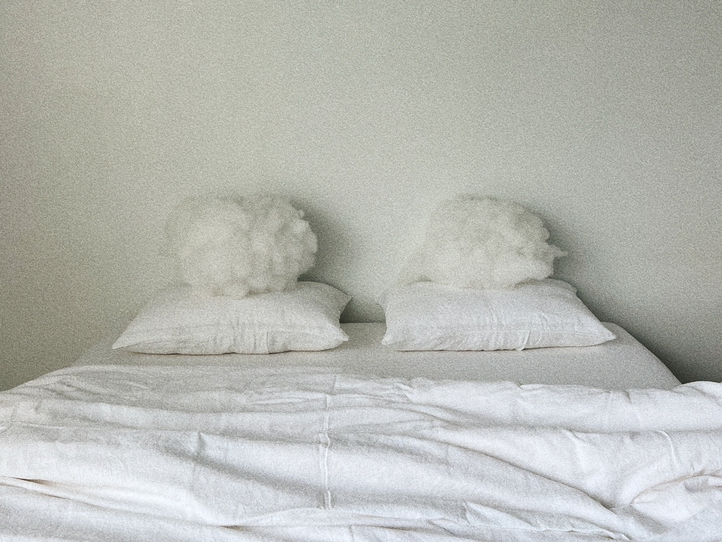 pillowslip set . white linen