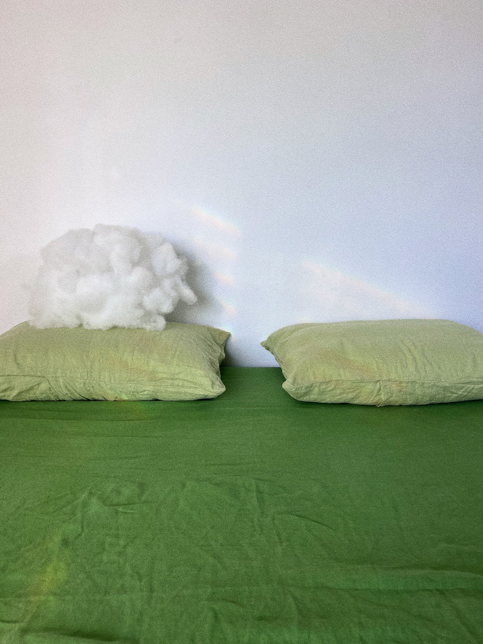 Pure Linen Pillowslips. Hand Dyed. Dazed but Amazed.