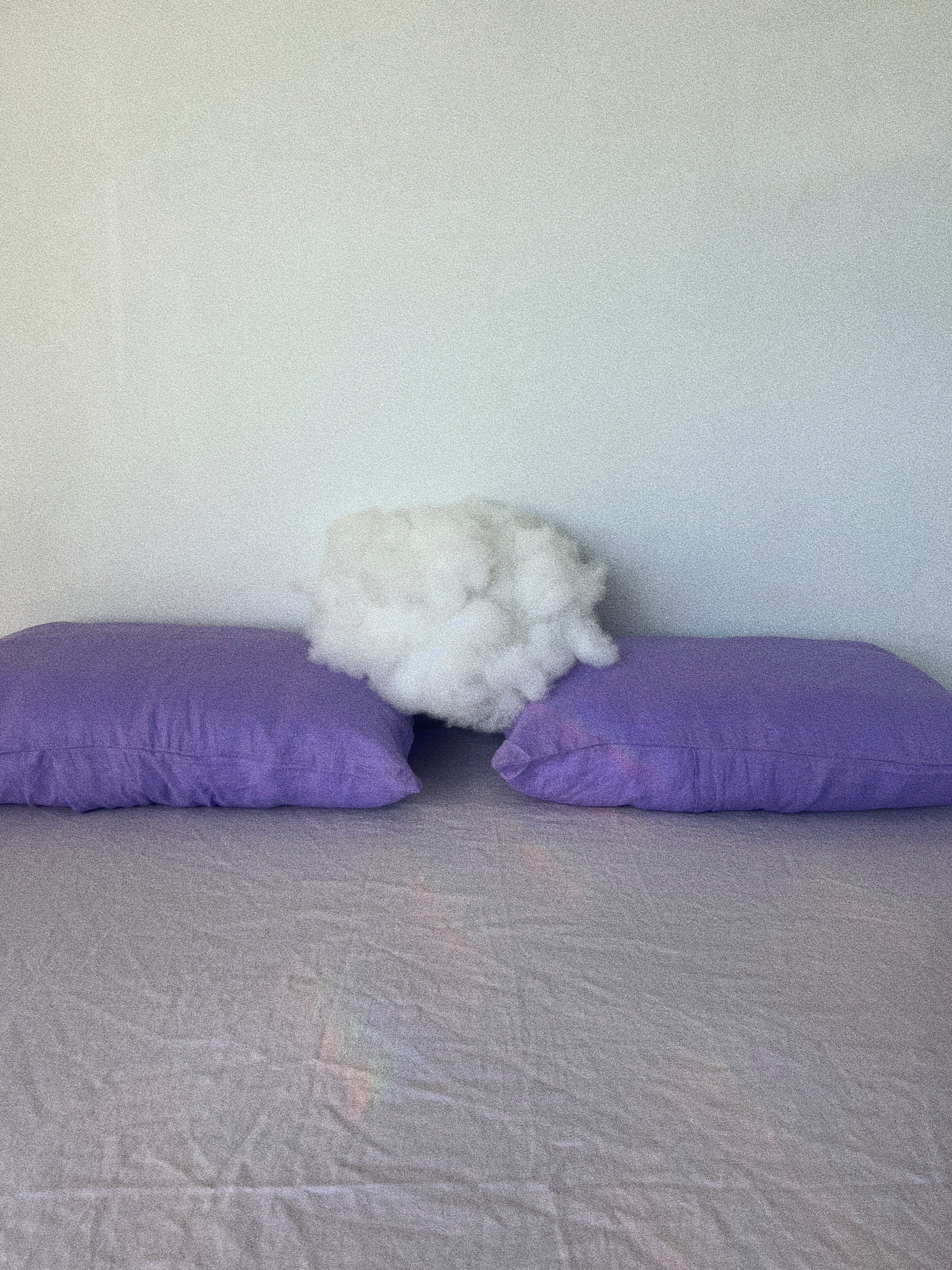 pillowslip set .lavender linen
